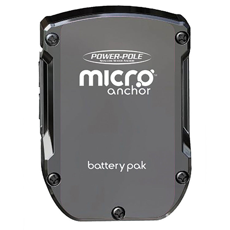 MICRO BATTERY PAK - LITHIUM BA