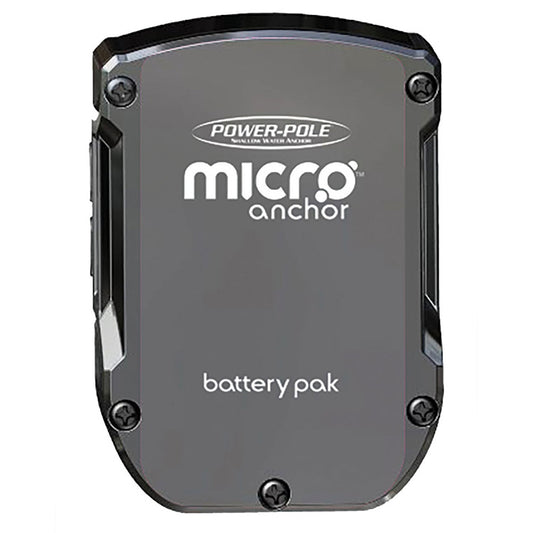 MICRO BATTERY PAK - LITHIUM BA