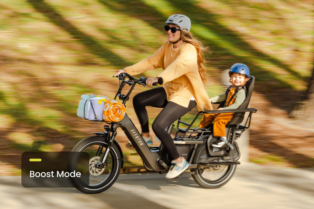 Aventon Abound LR e-bike