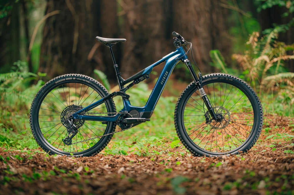 Aventon Current ADV e-bike