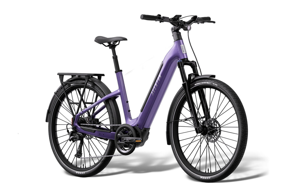 Aventon Level 4 ADV Step-Through e-bike