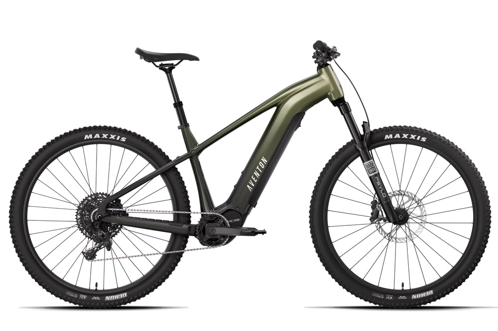 Aventon Ramblas ADV in Borealis e-bike