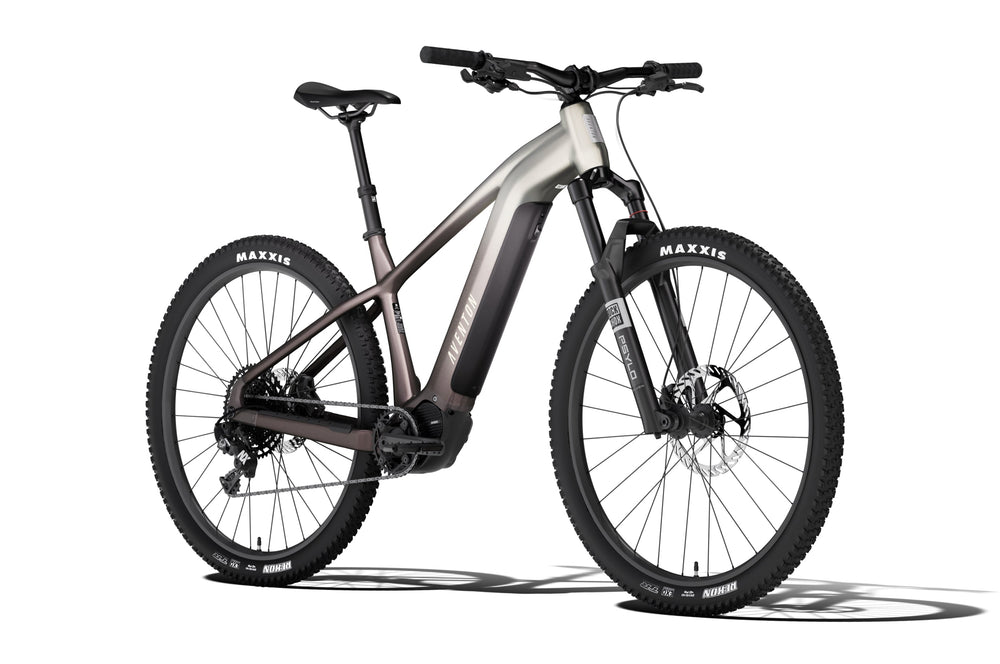Aventon Ramblas ADV e-bike