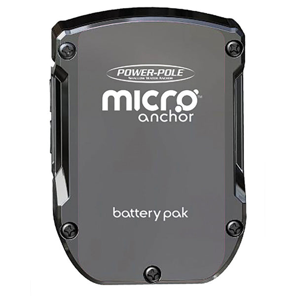 MICRO BATTERY PAK - LITHIUM BA